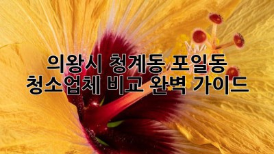의왕시 청계동, 포일동 청소업체 비교 완벽 가이드! ✨